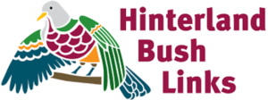 Hinterland-Bush-Links